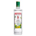 GIN-BEEFEATER-BOTANICS-750ML