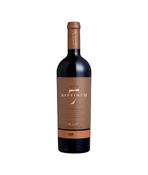 Vinho Brasileiro Salton Septimum 750Ml 2018