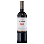 VINHO-CASILLERO-DEL-DIABLO-MALBEC-750ML-1