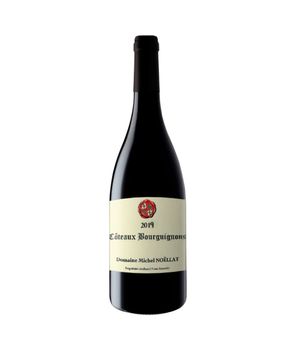 Vinho Michel Noellat Coteaux Bourguignons 2019