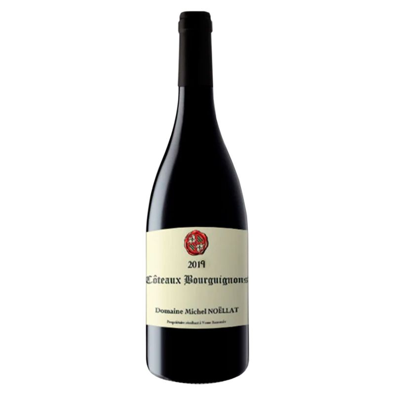 Vinho-Michel-Noellat-Coteaux-Bourguignons-2019-750ML-1
