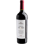 Vinho-Atardecer-de-Los-Andes-Malbec-750ML-1