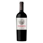Vinho-Chileno-Terrunyo-Cabernet-Sauvignon-750Ml-1