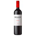 Vinho-Benjamin-Nieto-Malbec-750ml-1