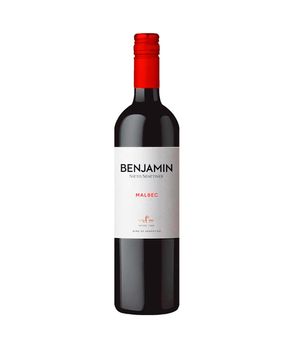 Vinho Benjamin Nieto Malbec 750ml